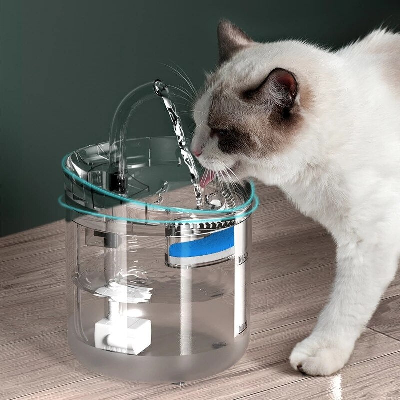 Haustier-Wasserspender