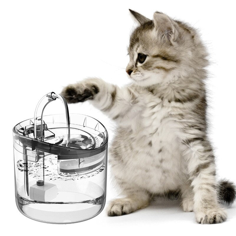 Haustier-Wasserspender